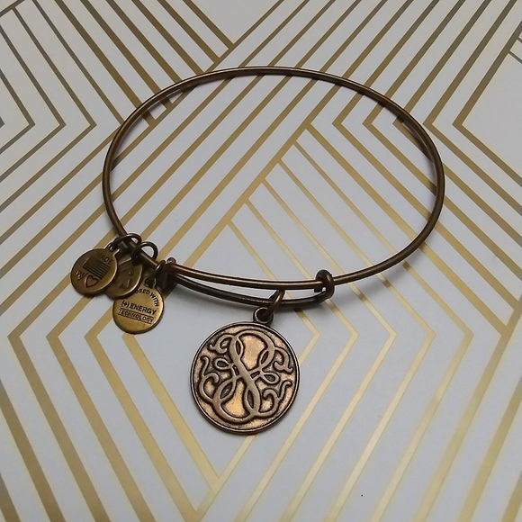 Alex & Ani Path of Life bracelet Strength Motivation Knowledge - Picture 1 of 5
